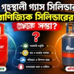 India LPG Cylinder Price Comparison: ঘরোয়া বনাম বাণিজ্যিক সিলিন্ডার কেন দামের এত পার্থক্য? India LPG Cylinder Price Comparison