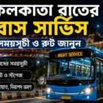Kolkata Night Bus Service Timetable: রাতে কলকাতায় ফেরার ভরসা নাইট বাস! দেখুন বাসের সময় Kolkata Night Bus Service Timetable