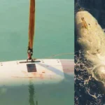 Iran Seizes US Submarine in Hormuz